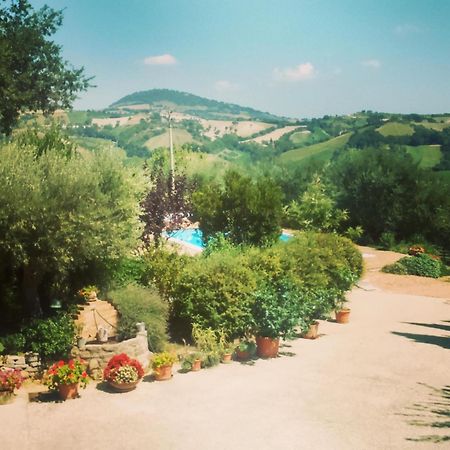 Casale Il Cerqueto Bed & Breakfast San Severino Marche Ruang foto