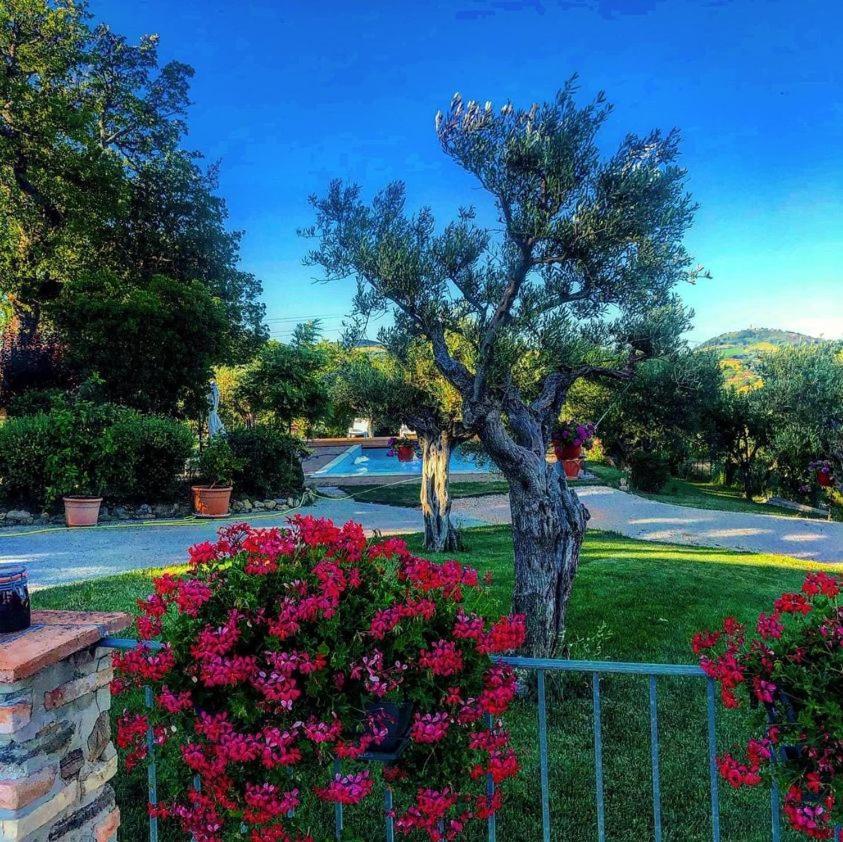 Casale Il Cerqueto Bed & Breakfast San Severino Marche Bagian luar foto