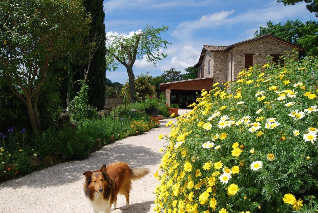 Casale Il Cerqueto Bed & Breakfast San Severino Marche Bagian luar foto