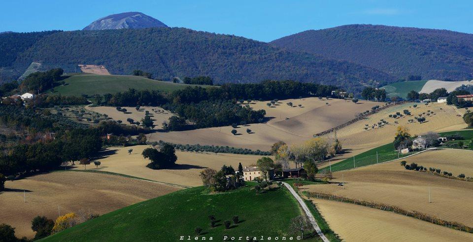 Casale Il Cerqueto Bed & Breakfast San Severino Marche Bagian luar foto