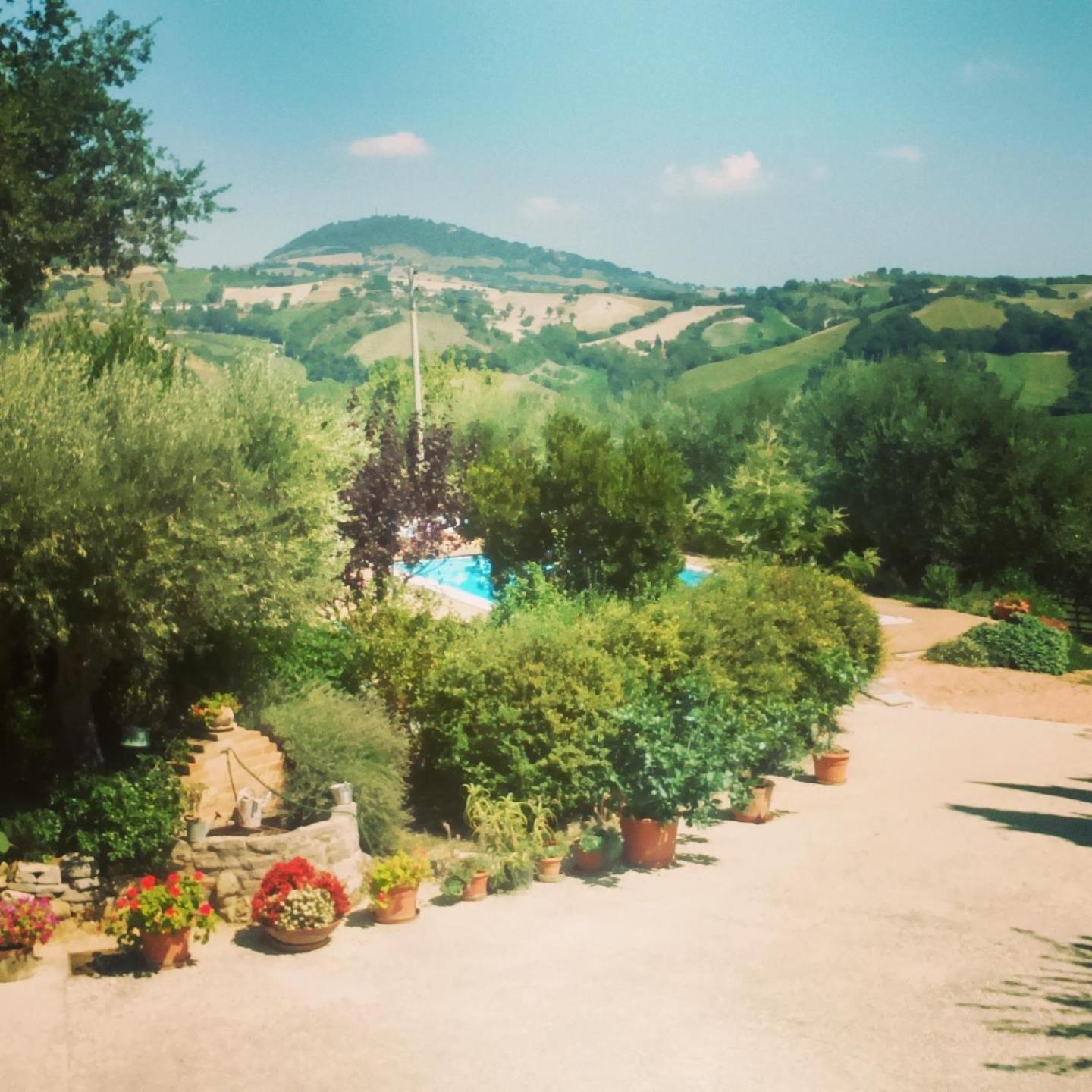 Casale Il Cerqueto Bed & Breakfast San Severino Marche Ruang foto