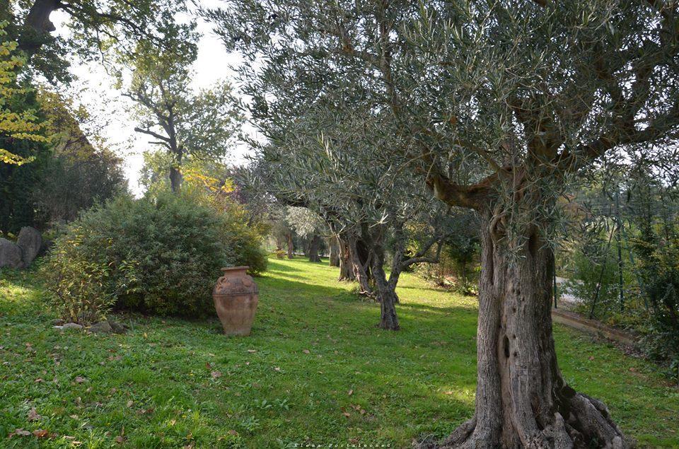 Casale Il Cerqueto Bed & Breakfast San Severino Marche Bagian luar foto