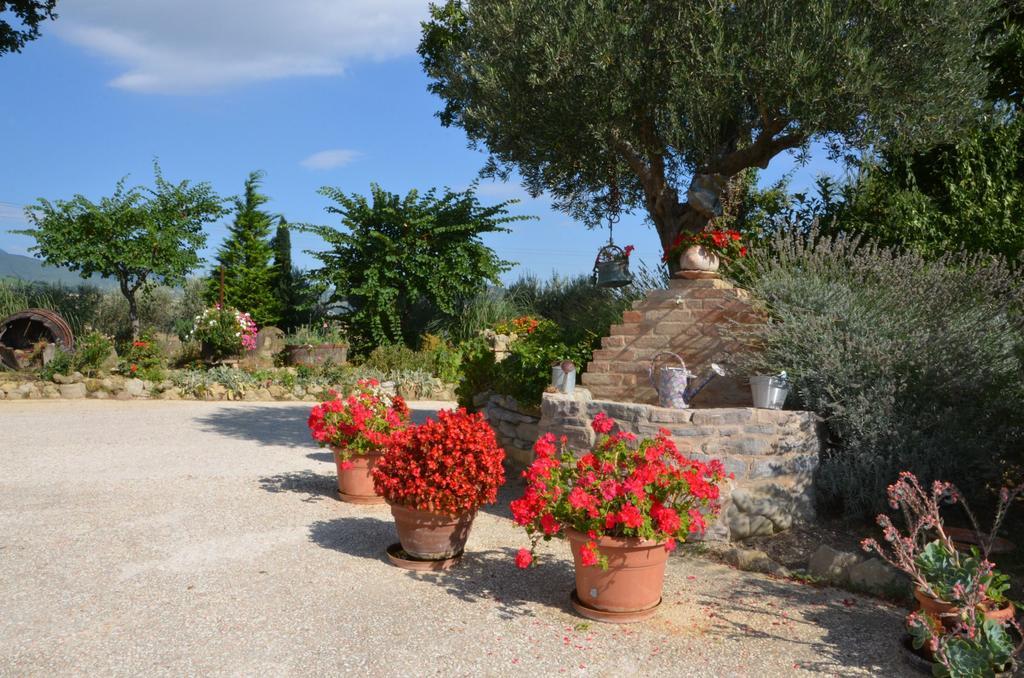 Casale Il Cerqueto Bed & Breakfast San Severino Marche Bagian luar foto