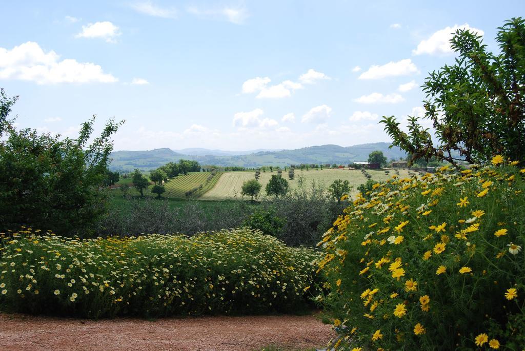 Casale Il Cerqueto Bed & Breakfast San Severino Marche Bagian luar foto