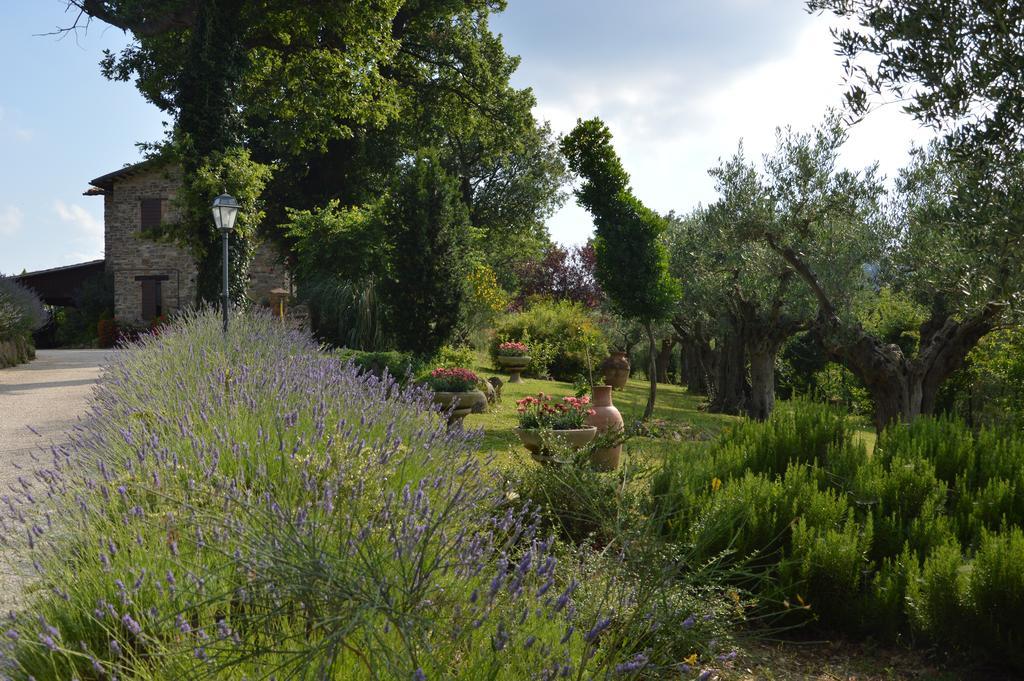 Casale Il Cerqueto Bed & Breakfast San Severino Marche Bagian luar foto