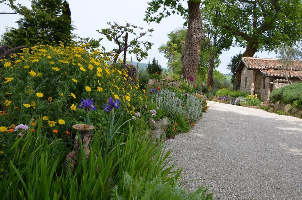 Casale Il Cerqueto Bed & Breakfast San Severino Marche Bagian luar foto