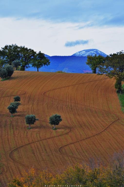 Casale Il Cerqueto Bed & Breakfast San Severino Marche Bagian luar foto