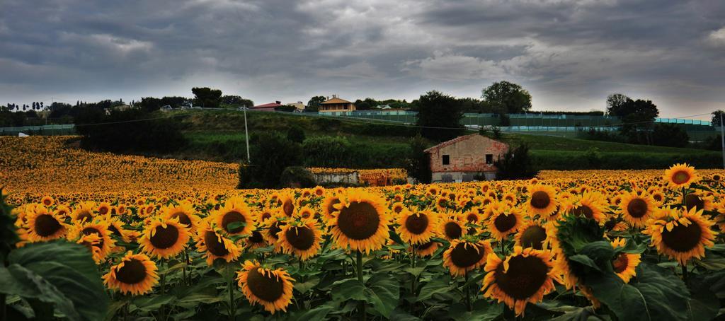 Casale Il Cerqueto Bed & Breakfast San Severino Marche Bagian luar foto