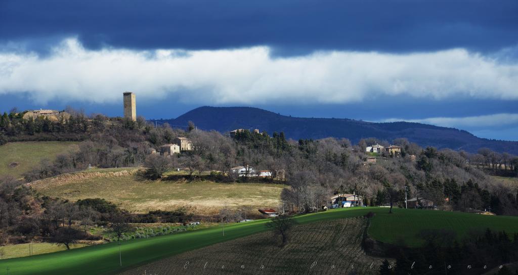 Casale Il Cerqueto Bed & Breakfast San Severino Marche Bagian luar foto