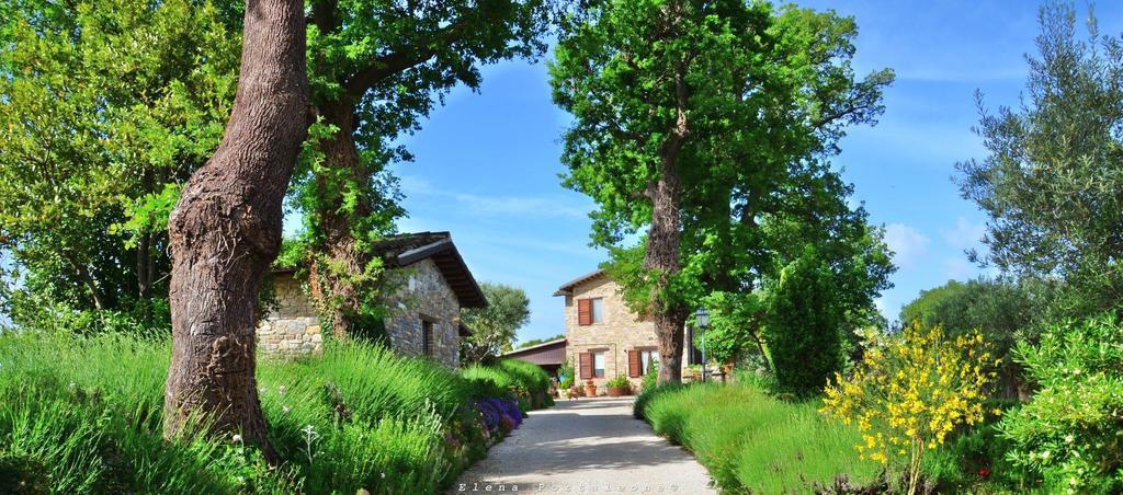 Casale Il Cerqueto Bed & Breakfast San Severino Marche Bagian luar foto