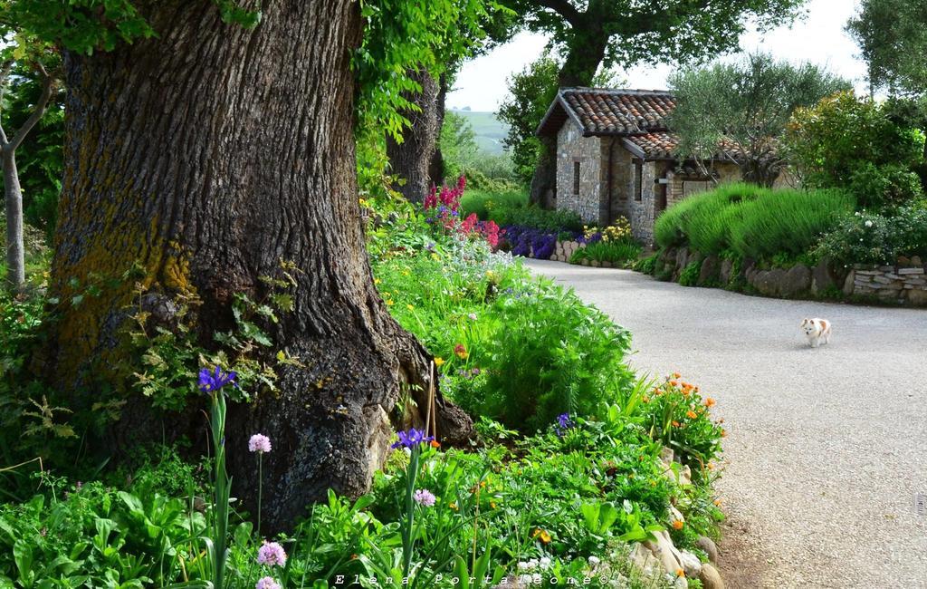 Casale Il Cerqueto Bed & Breakfast San Severino Marche Bagian luar foto